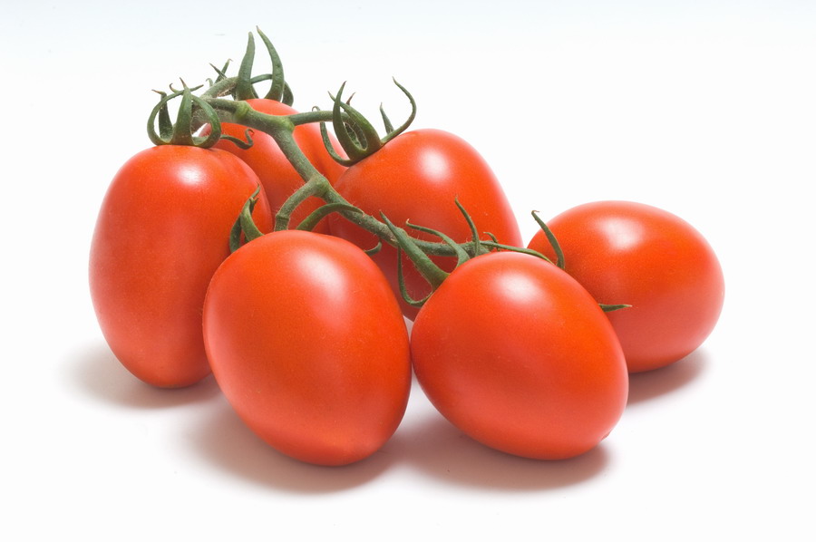 نقص العناصر الغذائية على نباتات الطماطم