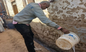 الزراعة تتابع موقف النمل الأبيض والزراعات الشتوية بالصعيد