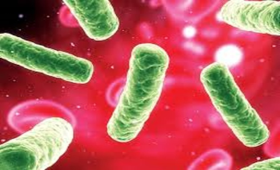 عالم الزراعة 