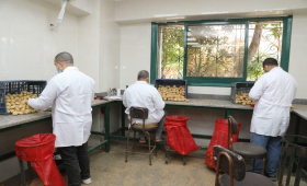 الزراعة تعلن فحص 290 ألف طن بطاطس للتصدير خلال فبراير 2026 