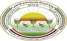 تفاصيل استعدادات الزراعة لاستقبال عيد الأضحى 