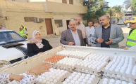 الزراعة تطلق 6 منافذ متنقلة لبيع بيض المائدة بأسعا