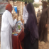 الخدمات البيطرية تُكثف جهودها  لدعم صحة الحيوان 