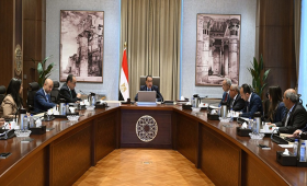 شيمي: تطوير صناعة الغزل يستهدف تعظيم القيمة المضافة للقطن المصري