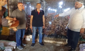 الزراعة تطلق حملات توعوية لتعزيز الأمن الحيوي في قطاع الدواجن