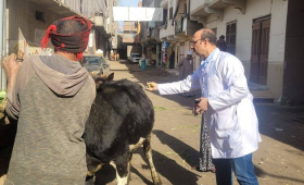 الزراعة: 2900 قافلة بيطرية مجانية لخدمة 2600 قرية خلال 2025