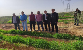 الزراعة تنشر حصاد أنشطة مركز بحوث الصحراء خلال فبراير 