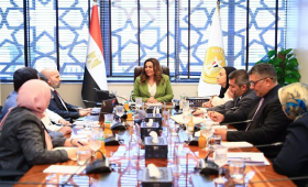 البيئة تتابع تنفيذ مشروع زراعة أشجار المانجروف على سواحل البحر الأحمر