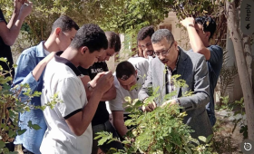 الزراعة تعلن تأهيل 441 كادراً متخصصا من مطبقي المبيدات