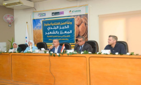 زراعة الوادي الجديد تنظم ورشة عمل عن الخبز البلدي بالشعير