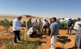 من مكافحة التصحر لخدمة المزارعين.. حصاد أغسطس لبحوث الصحراء