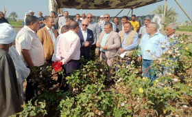  محافظ الفيوم يفتتح موسم جني القطن ويؤكد دعم المزارعين