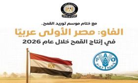 مجلس الوزراء: مصر الأولى عربيًا في إنتاج القمح خلال عام 2026 
