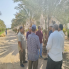 الزراعة تدعم مزارعي النخيل والزيتون بسيناء 