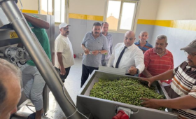 وزير الزراعة يتابع بشائر إنتاج الزيتون بالتجمعات الزراعية بسيناء