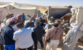  الزراعة تدعم أهالي تجمع الباغة بمشروعات إنتاج حيواني وداجني