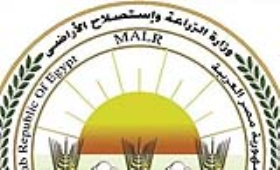 الزراعة تكثف حملاتها للرقابة على أسواق الأسماك المملحة وتقدم إرشادات عاجلة للمواطنين