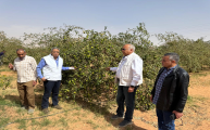 الزراعة تتفقد الأنشطة البحثية بمحطة بحوث الصحراء ف