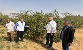 الزراعة تتفقد الأنشطة البحثية بمحطة بحوث الصحراء في توشكى 