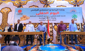 منتجي الحاصلات البستانية ينظم يوم حصاد لأصناف البطاطس الجديدة بالمنيا