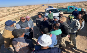  الزراعة تواصل دعم مزارعي التجمعات التنموية بشمال وجنوب سيناء