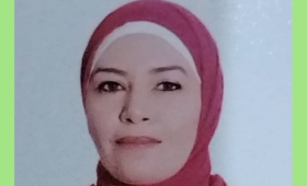 د. مروه طه تكتب عن الشعيرية سريعة التحضير 