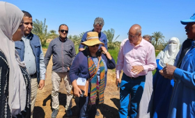 بحوث الصحراء يستقبل وفد إيكاردا بمحطتي توشكى والوادي الجديد
