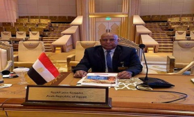 العباسى : واقع جديد تشهده زراعة النخيل فى مصر 