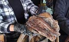 الزراعة تضبط أكثر من 4.3 طن من اللحوم والأسماك الفاسدة