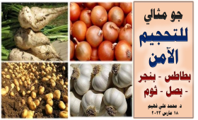حزمة توصيات بشأن تحجيم محاصيل البصل والثوم والبطاطس والبنجر