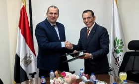 الريف المصري الجديد تطلق مشروعاً ضخماً لتوصيل الكهرباء لأراضيها بالمنيا 