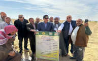  محافظ شمال سيناء ورئيس بحوث الصحراء يتفقدان التجم