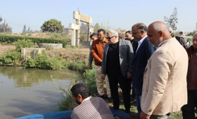 فرحات: مفرخ فوه من المفرخات الرائدة في تفريخ البلطى والمبروك