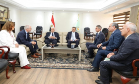 وزير الزراعة يبحث مع وفد ألماني تقنيات الزراعة العمودية للقمح