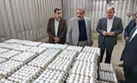 الزراعة: استمرار ضخ بيض المائدة بأسعار مخفضة لتخفيف الأعباء عن المواطنين