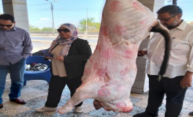 الزراعة: حملات رقابية بالمحافظات لمواجهة ذبح البتلو خارج المجازر