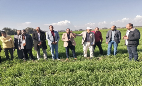 الزراعة تواصل دعم مزارعي القمح بجميع المحافظات 