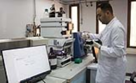 الزراعة: تحليل 111 ألف عينة غذائية خلال الربع الأول من 2026