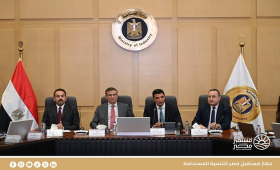 الحكومة تبحث تطبيق نموذج متكامل لزراعة وتصنيع الكتان 
