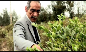  مراجعة المواصفات الكيميائية لـ 2 منظم نمو قبل التسجيل  