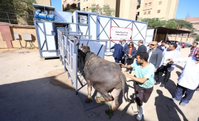 التنمية المحلية تعلن افتتاح أول مجزر متنقل بصناعة محلية