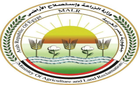 الزراعة تبدأ إعداد خطة تسويقية لتقاوي البطاطس المحلية