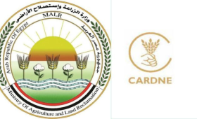 الزراعة وكاردني ينظمان ورشة حول تعزيز دور الإرشاد الزراعي في التنمية الريفية 