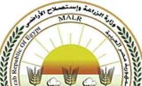 الزراعة تزيل 384 حالة تعدي على الأراضي الزراعية خلال إجازة عيد الفطر