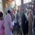 محافظ أسيوط يعلن تسليم 216 رأس أغنام وماعز لـ100 أسرة منتجة 