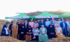 الزراعة تستعرض نجاح تجربة توحيد الحيازات لدعم صغار المزارعين بأسيوط