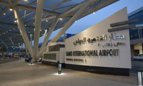إحباط تهريب عشرات الزواحف والكائنات النادرة بمطار القاهرة