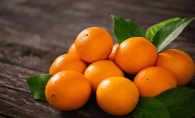 الزراعة توصي بـ6 مبيدات لمكافحة عفن السرة في البرتقال 
