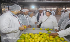 مفاوضات مصرية-دومينيكانية لفتح أسواق الكاريبي للموالح والرمان