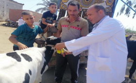 الزراعة تقدم خدمات التلقيح الاصطناعي لـ 41 ألف رأس خلال أغسطس